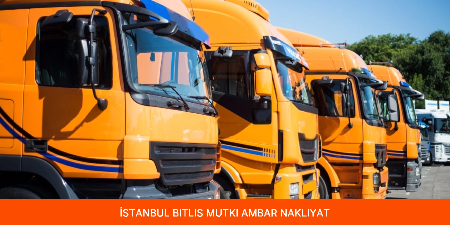 Mutki Ambar